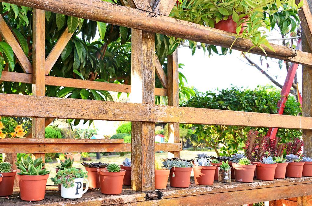 Taichung Xinshe Garden Life Homestay B&B מראה חיצוני תמונה