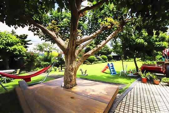 Taichung Xinshe Garden Life Homestay B&B מראה חיצוני תמונה
