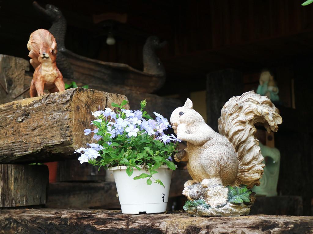 Taichung Xinshe Garden Life Homestay B&B מראה חיצוני תמונה