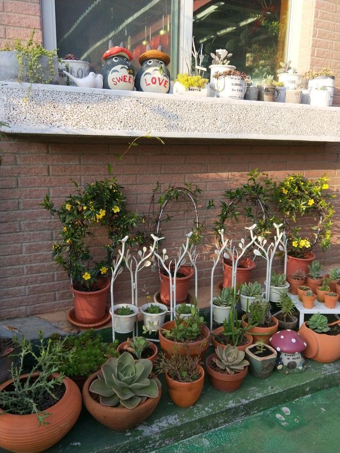 Taichung Xinshe Garden Life Homestay B&B מראה חיצוני תמונה
